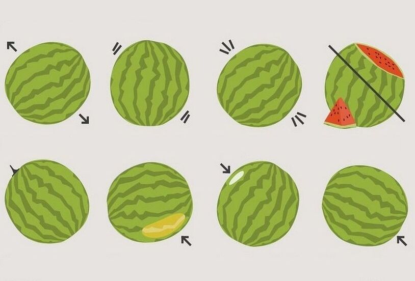 hoe kies je de juiste watermeloen 